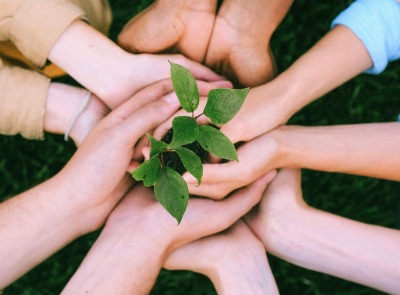 group of hands holding a small plant.